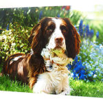 photogift_poster_printing