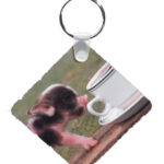 Plastic Photo Keyrings